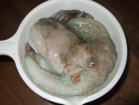 遠投＆深場狙い