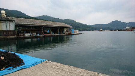 タコ時々アコウ