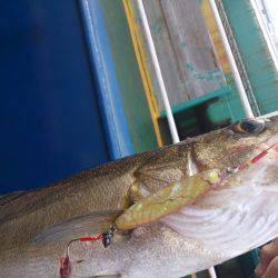 久しぶりの投稿＆停泊船ゲ―ム