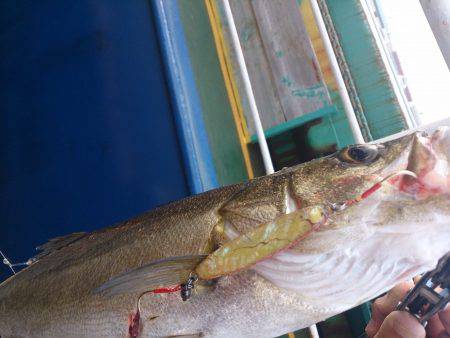 久しぶりの投稿＆停泊船ゲ―ム