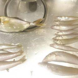 那佐湾と浅川漁港