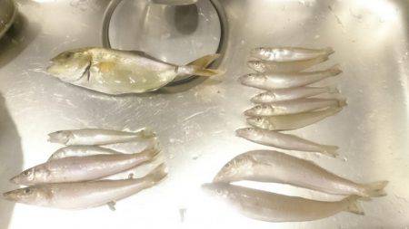 那佐湾と浅川漁港