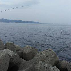 灘浜で投げる！