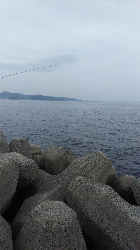 灘浜で投げる！