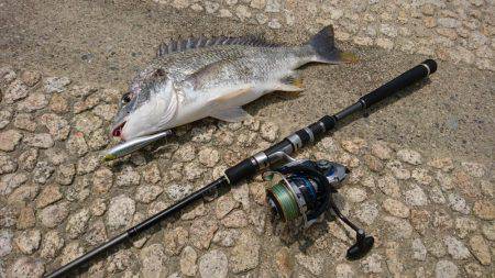 crowでトップゲーム