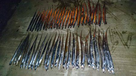 タチウオ大爆釣