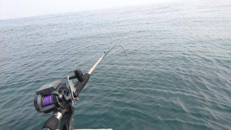 プリプリのアジを求めて