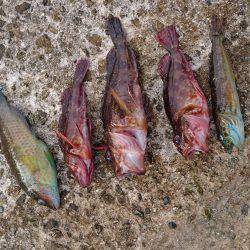 ホテルでフィッシング