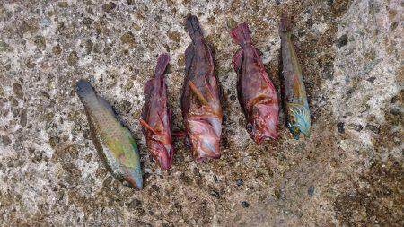 ホテルでフィッシング