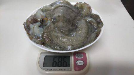 ファミリーフィッシング