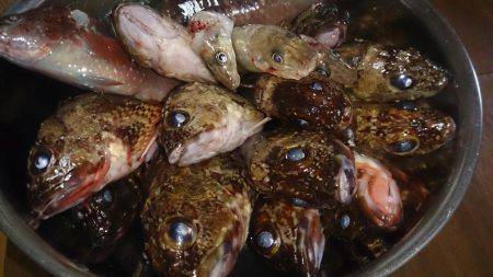 人多く賑わった漁港