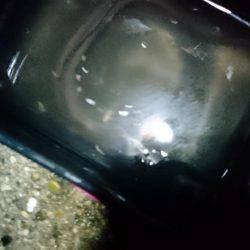 メバリングとその他