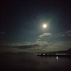 ケンサキが釣りたくて