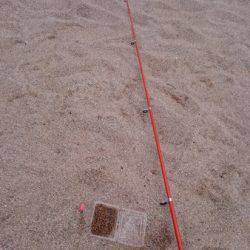 キス・ベラ・ガッチョ