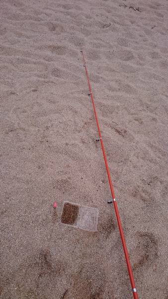 キス・ベラ・ガッチョ