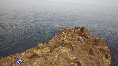 サンバソウの数釣り