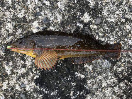 釣り難しいなか…。