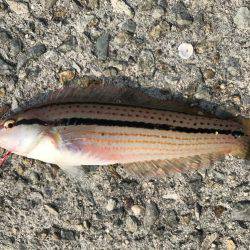 タイミング良く…