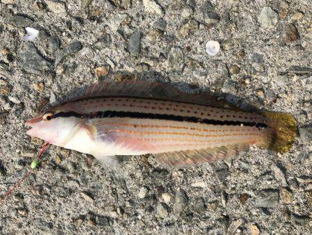 タイミング良く…