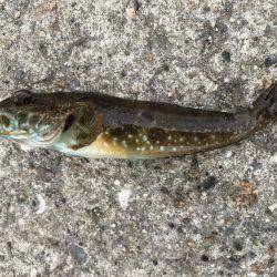 あまりの暑さに…。