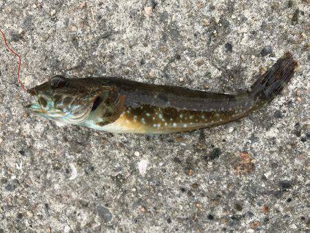 あまりの暑さに…。