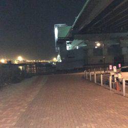 仕事帰りの定期巡回