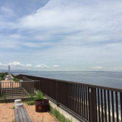 ニューロッド入魂