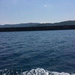 シイラゲーム♫