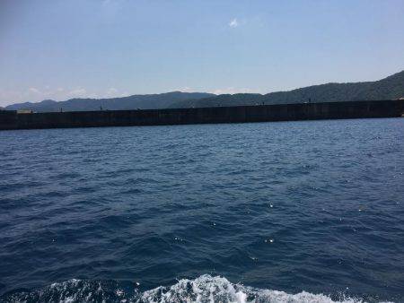 シイラゲーム♫