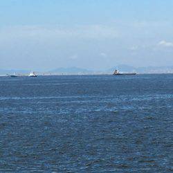 朝練オクトパッシング♫