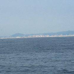 朝練オクトパッシング