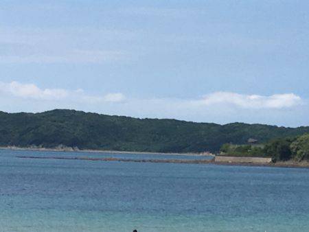 でも1魚種追加!