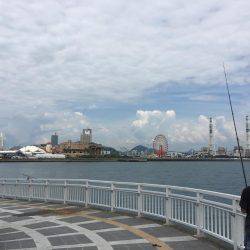 キス時々カワハギ