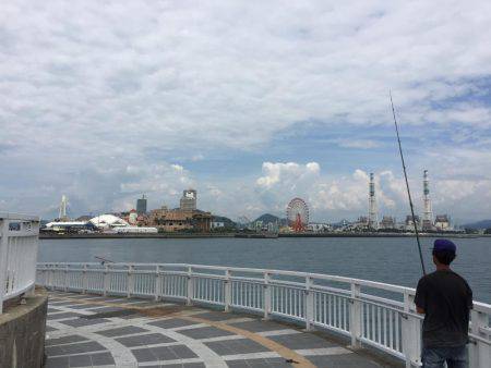 キス時々カワハギ