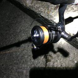 ケンサキリベンジ