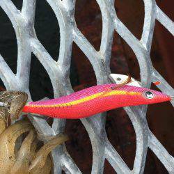 春イカは最後⁉️