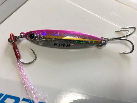 夏❗️エギング＆ライトショアジギング