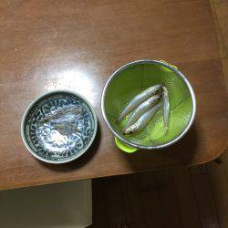 初ソロ釣行