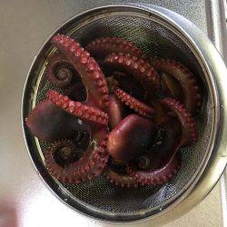 マイポイントでオクトパッシング