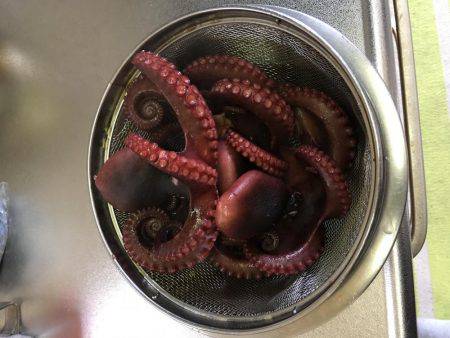 マイポイントでオクトパッシング