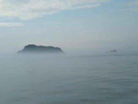 テンヤでタチウオ