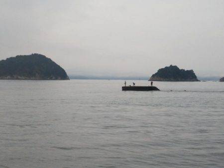 阿南市の辰巳でタチウオとヒラメ