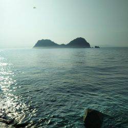 阿南市の辰巳でタチウオとツバス