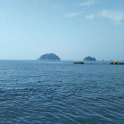 阿南市の辰巳でタチウオとツバス