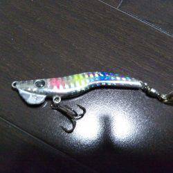 阿南市の辰巳でツバスとシオ