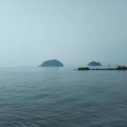 阿南市の辰巳でタチウオテンヤとツバス