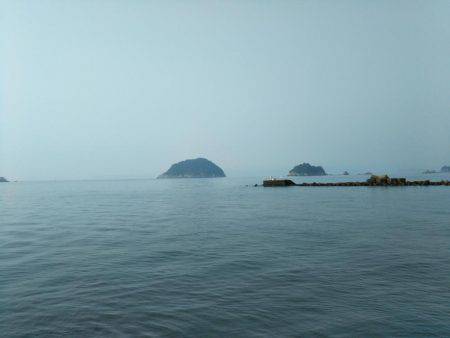 阿南市の辰巳でタチウオテンヤとツバス