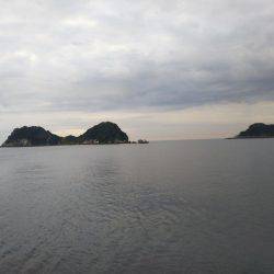 阿南市の辰巳でタチウオとツバス