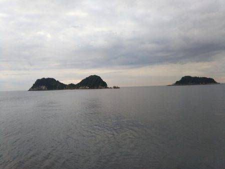 阿南市の辰巳でタチウオとツバス