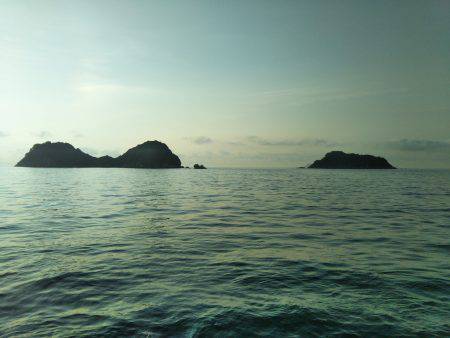 阿南市の辰巳でタチウオとツバスとシオ